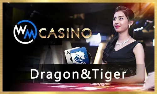 Online Poker Table